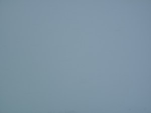 looking out the window