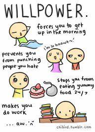 486250_10151095182081916_1743510003_n