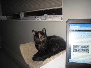 Introducing Macchiato, a cat who sits in a scoop and does not bother me while I am writing. 